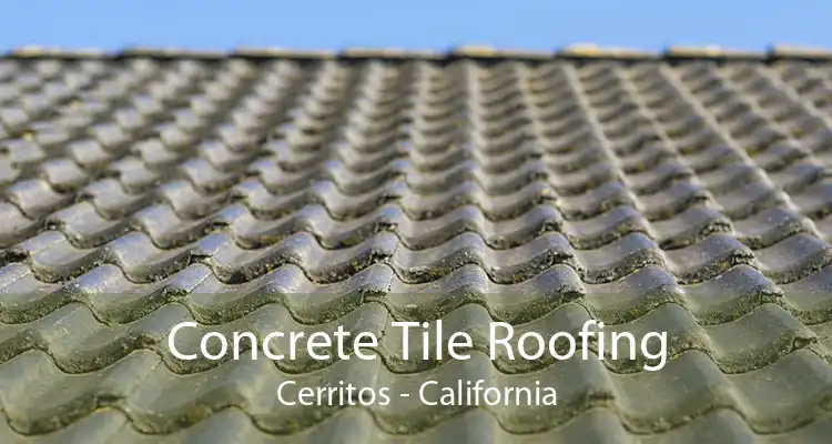 Concrete Tile Roofing Cerritos - California